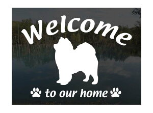 TGhWelcome XebJ[Op EFJ Ⴂ܂ XebJ[ V[ փhAKX ؕ ]ʃXebJ[