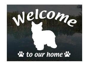 `Cj[YNXebhhbO pE_[ptWelcome XebJ[Op EFJ Ⴂ܂ XebJ[ V[ փhAKX ؕ ]ʃXebJ[