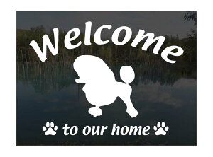 v[h gCv[h X^_[hv[h (A)Welcome XebJ[Op EFJ Ⴂ܂ XebJ[ V[ փhAKX ؕ ]ʃXebJ[