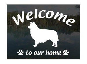 {[_[R[Welcome XebJ[Op EFJ Ⴂ܂ XebJ[ V[ փhAKX ؕ ]ʃXebJ[