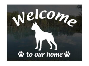 {NT[Welcome XebJ[Op EFJ Ⴂ܂ XebJ[ V[ փhAKX ؕ ]ʃXebJ[