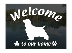 CObVXvK[XpjGWelcome XebJ[Op EFJ Ⴂ܂ XebJ[ V[ փhAKX ؕ ]ʃXebJ[