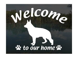 zCgVFp[hWelcome XebJ[Op EFJ Ⴂ܂ XebJ[ V[ փhAKX ؕ ]ʃXebJ[