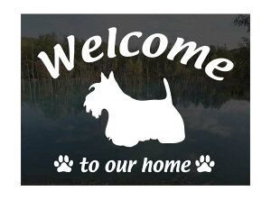 XReBbVeAWelcome XebJ[Op EFJ Ⴂ܂ XebJ[ V[ փhAKX ؕ ]ʃXebJ[