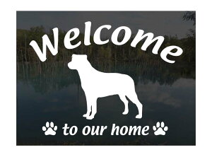 bgC[Welcome XebJ[Op EFJ Ⴂ܂ XebJ[ V[ փhAKX ؕ ]ʃXebJ[