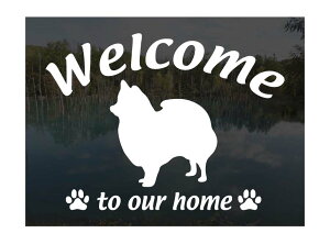 {XsbcWelcome XebJ[Op EFJ Ⴂ܂ XebJ[ V[ փhAKX ؕ ]ʃXebJ[