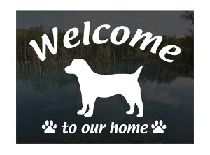 WbNbZeAWelcome XebJ[Op EFJ Ⴂ܂ XebJ[ V[ փhAKX ؕ ]ʃXebJ[