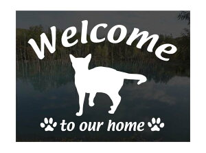 ArVjAWelcome XebJ[ [C]Op EFJ Ⴂ܂L XebJ[ V[ փhAKX ؕ ]ʃXebJ[