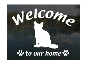 AJV[gwAWelcome XebJ[ [A]Op EFJ Ⴂ܂L XebJ[ V[ փhAKX ؕ ]ʃXebJ[