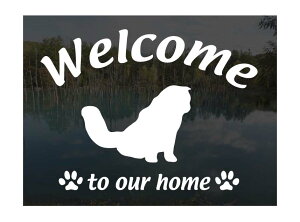 XReBbVtH[hWelcome XebJ[ [A]Op EFJ Ⴂ܂L XebJ[ V[ փhAKX ؕ ]ʃXebJ[