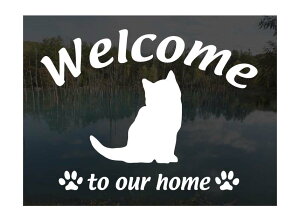 \}Welcome XebJ[ [A]Op EFJ Ⴂ܂L XebJ[ V[ փhAKX ؕ ]ʃXebJ[