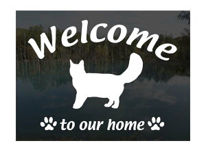 \}Welcome XebJ[ [B]Op EFJ Ⴂ܂L XebJ[ V[ փhAKX ؕ ]ʃXebJ[