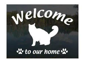CN[Welcome XebJ[ [A]Op EFJ Ⴂ܂L XebJ[ V[ փhAKX ؕ ]ʃXebJ[