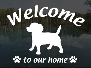 `bNXWelcome XebJ[Op EFJ Ⴂ܂ XebJ[ V[ փhAKX ؕ ]ʃXebJ[