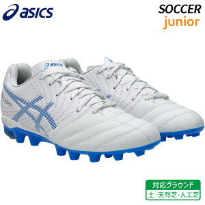 AVbNX asics DS Cg WjA GS 1104A054-101 q TbJ[ XpCN tbg{[ V[Y y VR lH