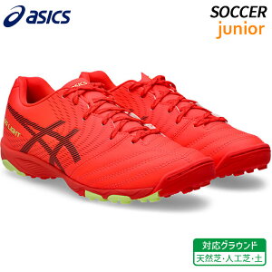 �A�V�b�N�X asics DS ���C�g �W���j�A GS TF 1104A053-600 �q�� �T�b�J�[ �t�b�g�{�[�� �g���[�j���O �V���[�Y �y �V�R�� �l�H��