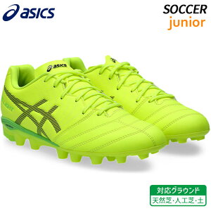 AVbNX asics DS Cg WjA GS 1104A054-750 q TbJ[ XpCN tbg{[ V[Y