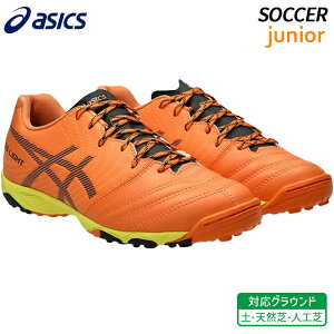�A�V�b�N�X asics DS ���C�g �W���j�A GS TF 1104A053-701 �q�� �T�b�J�[ �t�b�g�{�[�� �g���[�j���O �V���[�Y �y �V�R�� �l�H��
