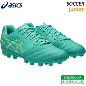 アシックス DS LIGHT JR GS(1104A054)