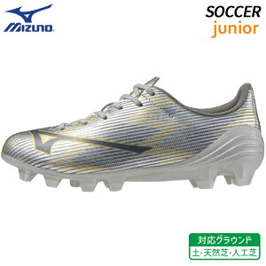 ~Ym MIZUNO At@ 2 ZNg WjA P1GB256504 q TbJ[ XpCN tbg{[ V[Y VR y lH