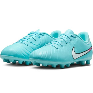 iCL NIKE WjA eBG| WFh 10 AJf~[ HG DV4349-401 q TbJ[ XpCN tbg{[ V[Y