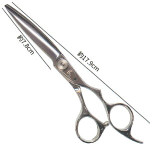 BEL scissors @BSF-02@hCJbgVU[@3Dhbvnhin}On/TTnj@6.25C`@@xVU[X@@JbgVU[