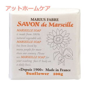 T{h}ZC^CvTt[100g@yΌ/{fB\[v/tFCX\[vz