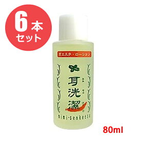 【6本セット】耳洗潔 80ml【業務用】（医薬部外品）