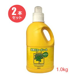 【2本セット】リアル 浴用ビコーゲン BN 1.0kg