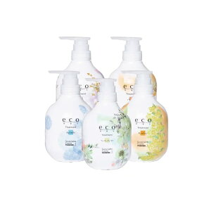 pCA ecoHBSVv[ 500ml @GRGC`r[GX@y5ނ̍肩炨Iтz