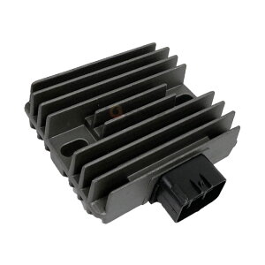 M[^[ }WFXeB250 hbOX^[250 M^[ 12V N`t@C d   ЊOi 