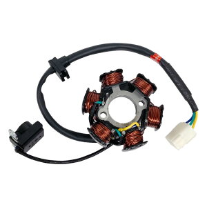 WFl[^[ ZONGSHEN Sg  110cc 125cc  6 RC oCN   i C eiX