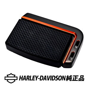 n[[_rbh\  [W u[Ly_pbh 18Nȍ~ FL\teCf C_[tbg{[h ԗp 50600508