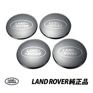 �����h���[�o�[ ���� �����W���[�o�[ 2nd �t���[�����_�[ �f�B�X�J�o���[2 �Z���^�[�L���b�v LR094546�@