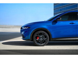 At@I  A~zC[ 1{ gi[ 115 TONALE 50290618