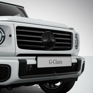 �����Z�f�X�x���c ���� �t�����g�O�����G���u���� G�N���X W465 G580 G450d �Q�����f���@�[�Q�� �O���X�u���b�N 46588035029197 46588035029197