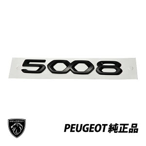 vW[  AGu s 5008 ubN 98377919XW