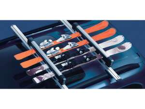 y11/27܂!|Cg10{ztBAbg W[v  XL[Xm[{[hLA hu DOBLO K9 AxW[ 71809116