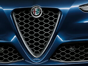 At@I  tgOCT[g J[{t@Co[ WA 952 GIULIA 50547088