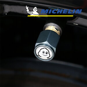 yyVX[p[Z[Gg[P10{Iz yMICHELIN Kiz GAouLbv 4Zbg BMW MINI ~j F54F55 F56 F57 R54 R55 R57 NXI[o[ Jg[}