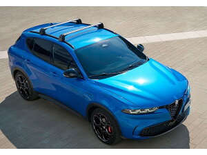 At@I  NXo[ gi[ 50290602