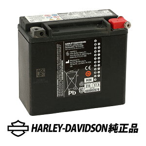 n[[_rbh\  AGM obe[ XL _Ci \teC 97y- (9N`) hCobe[ 66000207B