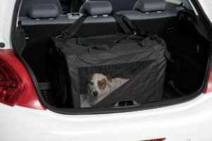 vW[ VgG  208 C3 ybgP[W MTCY 1607076080@