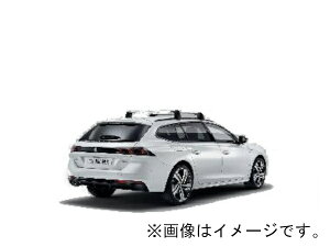 vW[  508 SW [tLAo[ 2 2019Nȍ~ e׏d 80kg Xe[V S 1635025680@