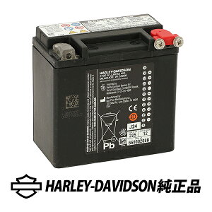 ハーレーダビッドソン 純正 AGM バッテリー スポーツスター XR XG 04y- (平成16年〜) ドライバッテリー 66000208B