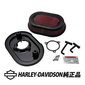 n[[_rbh\  x`[^[GNXg[GAN[i[ Screaming Eagle OXubNdグ 29400397