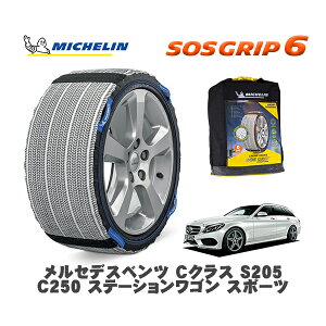 MICHELIN Ki Xm[\bNX SOSObv6 ZfXxc CNXXe[VS (S205)C250 / 205245 225/35R19 19C`p