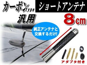 カーボンアンテナ 【商品一覧】汎用シームレス ショートアンテナ 黒 ブラック 銀 シルバー 35mm 80mm 120mm車載用 ユーロタイプ アンテナ ネジ径M5 M6対応 純正 交換用ルーフトップ アルミ製ウェ