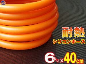 VR (40cm) a6mm `F y[ z VRz[X ϔM ėp a6~ 6 IW oL[z[X WG^[z[X C_NVz[X ^[{z[X WG[