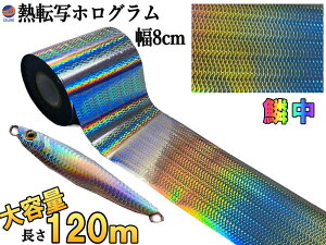 M]ʃzOV[g ؕ (Mtype)y1 |Cg10{z 120m 8cm ^WO A[p A[ M] zOV[g V[g V[ A[p 상^WO zO